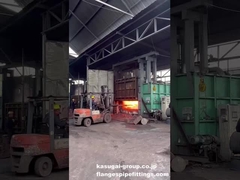 Προθερματισμένη ράβδος μεταφερόμενη από την Furance για σφυρηλάτηση φλάντζων από ανοξείδωτο χάλυβα/ατσάλι άνθρακα